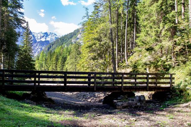istock Wooden boardwalk surrounded by coniferous trees with a glacier peak in the background 1432488450