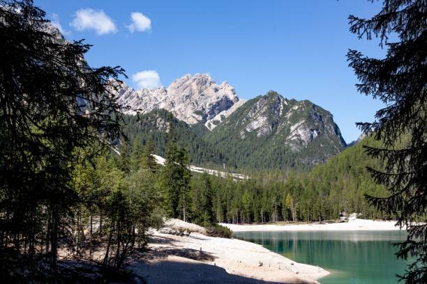 istock Scenic lakeside with coniferous trees and mountains 1432488459