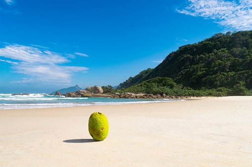 A beautiful landscape of Lopes Mendes beach on a sunny morning