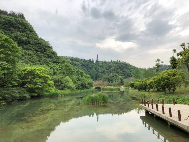 istock Bridge on the clear lake with the reflection of the trees 1432493831