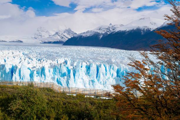 アルゼンチン湖のペリトモレノ氷河の美��しい景色 - argentine glaciers national park ストックフォトと画像