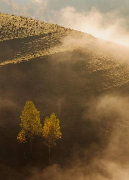 fantastic shot of a mountain covered in fogs in transylvania, romania during sunrise - transylvania imagens e fotografias de stock