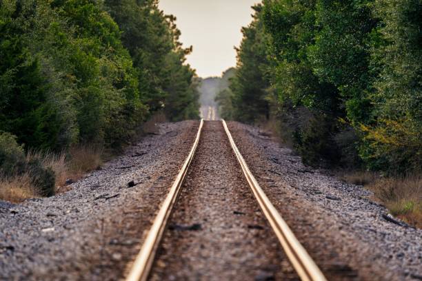 istock Long train railway in the middle of the trees 1432496025