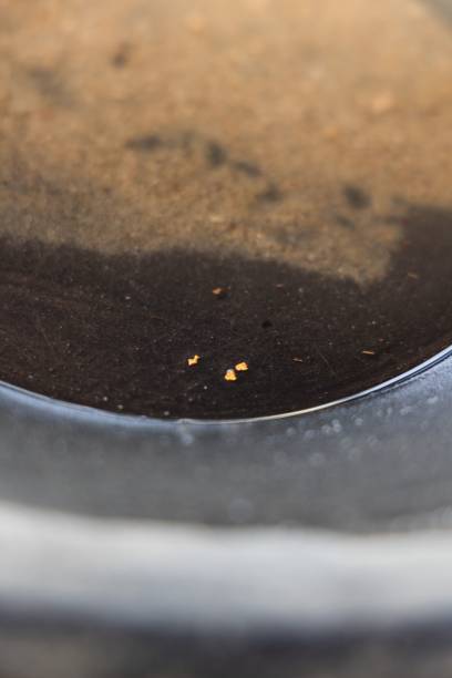 istock Closeup of gold on wash pan 1432496672