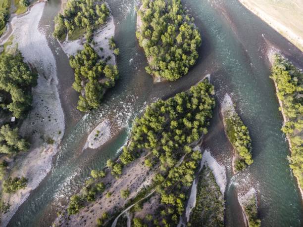 istock Aerial view of river surrounded by growing trees 1432496727