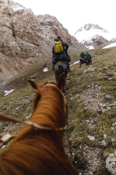 istock Horses in mountain valley with a cloudy sky 1432496760