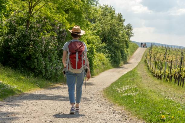 istock Hiker with a backpack walking on a countryside road 1432500309