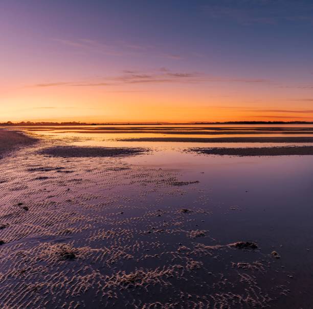 istock Beautiful sunrise at low tide in Port Welshpool 1432501163