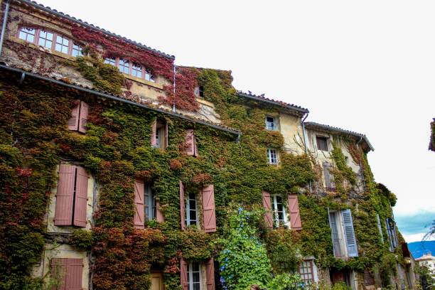 istock Beautiful building facade overgrown with greenery 1432502033