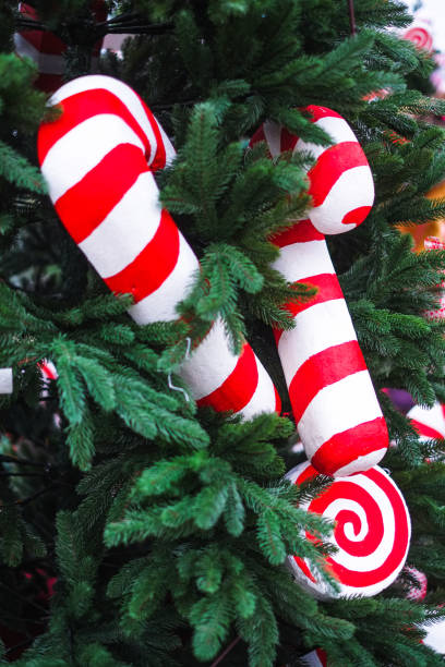 istock Red and white colored candy canes on Christmas tree in the market 1432502945