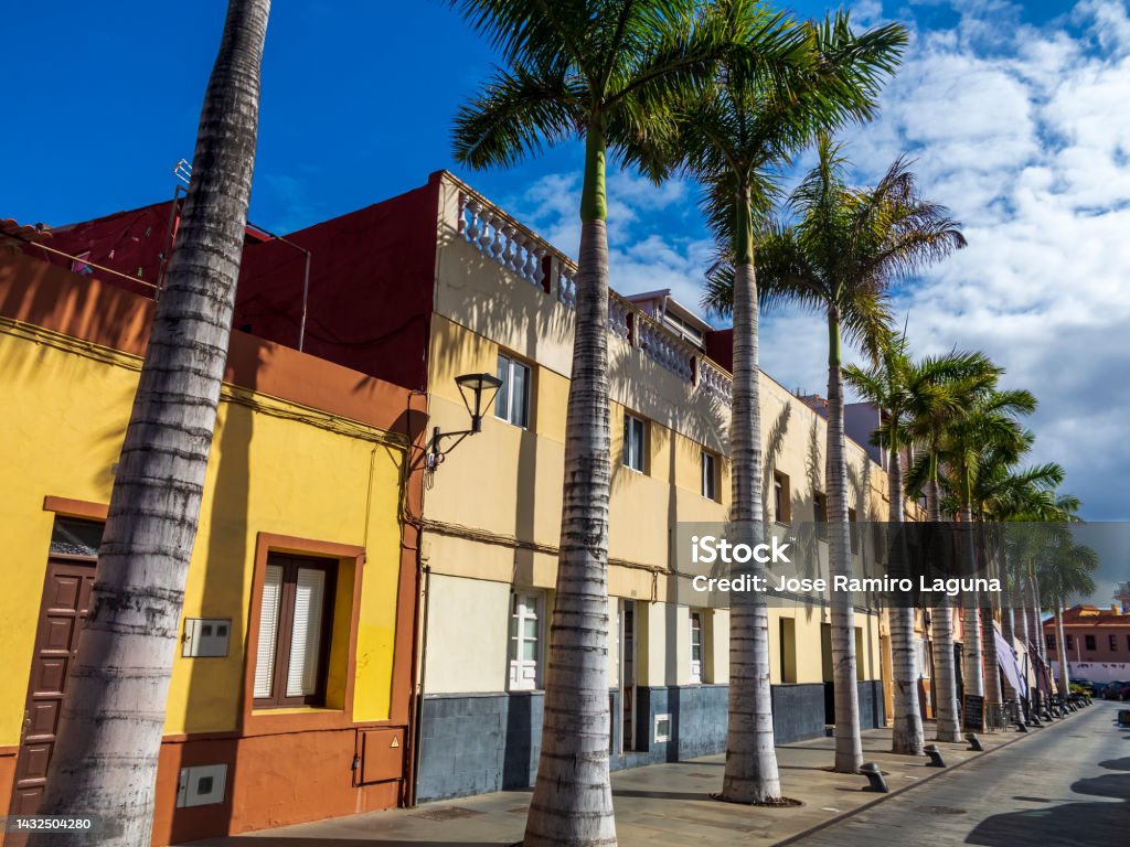 Calle con palmeras Street with palm trees in El Puerto de la Cruz. Canary Islands. Architecture Stock Photo