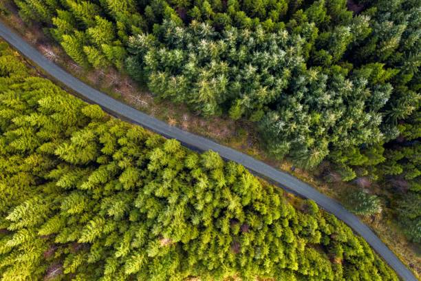 istock Aerial view of a highway in a beautiful forest 1432504295