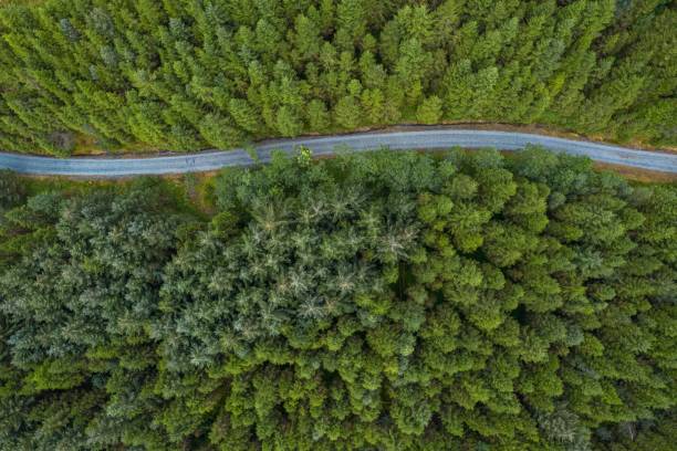 istock Aerial view of a highway in a beautiful forest 1432504305