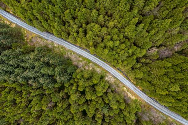 istock Aerial view of a highway in a beautiful forest 1432504315