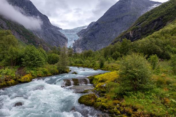istock Beautiful view of a river in a forest with trees and mountain 1432504400