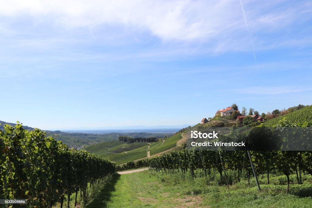 Vineyard landscape of Piedmont, Italy: Langhe-Roero and Monferrato Beautiful hills and vineyards surrounding village.Vineyard landscape of Piedmont, Italy: Langhe-Roero and Monferrato Agriculture Stock Photo
