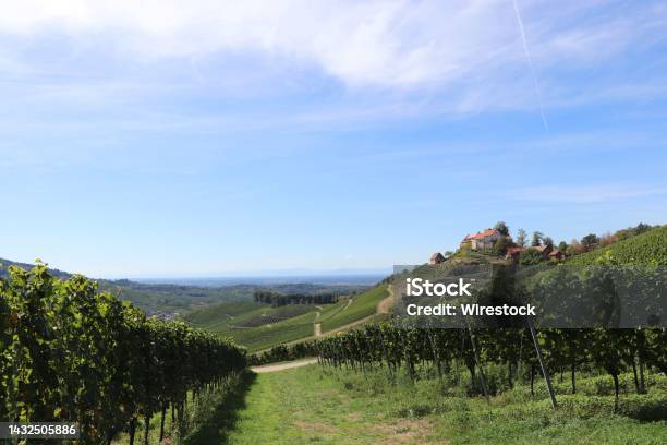 Vineyard Landscape Of Piedmont Italy Langheroero And Monferrato Stock Photo - Download Image Now