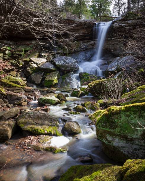 beautiful jackson falls im shawnee national forest, vereinigte staaten - shawnee national forest stock-fotos und bilder