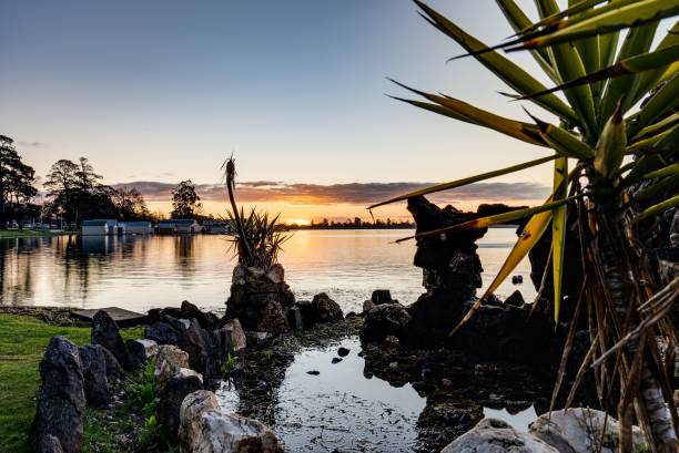The shore of Lake Wendouree with palm trees and a rocky structure  during sunset