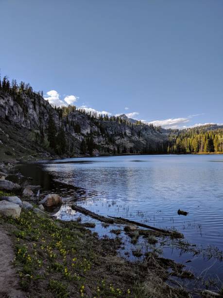 istock Vertical shot of a lake that is surrounded by coastal cliffs on a clear sunny day 1432509802