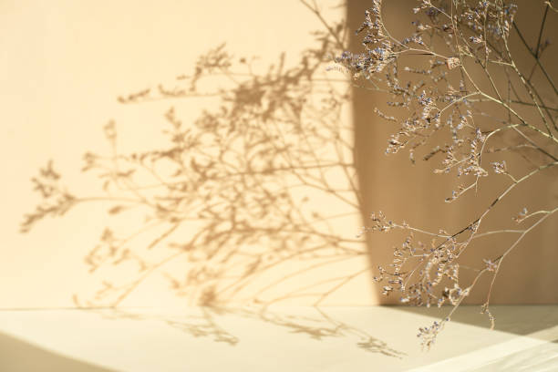istock Shadow from dry flowers on a beige background. Abstract trendy colored nature concept background. Layout for exhibitions, products, cosmetics, health. 1432510097
