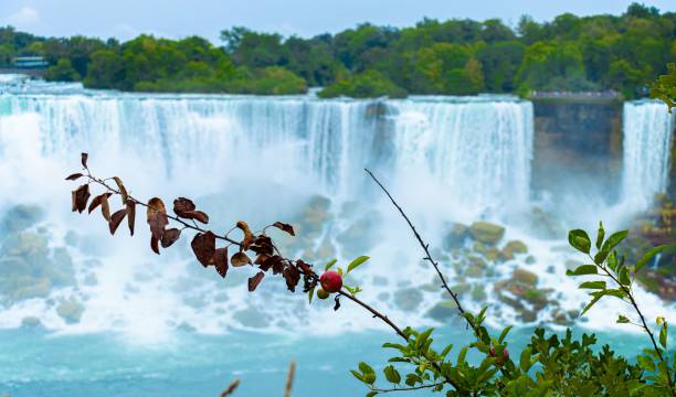 istock Scenic view of Niagara falls in long exposure effect flowing on rocks 1432511252