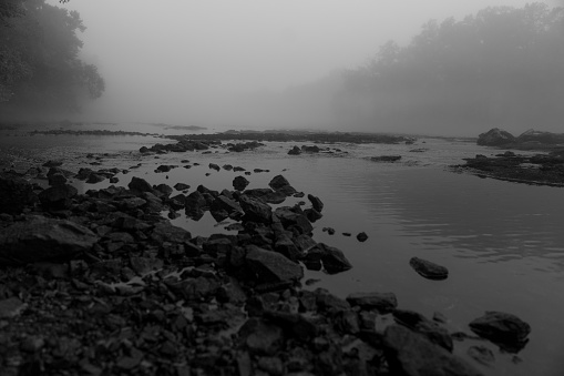 A grayscale shot of the coast in a foggy day