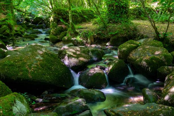istock Natural landscape view of a small stream flowing through mossy rocks 1432511540