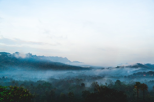 A scenic shot of a fog-covered landscape - great for backgrounds