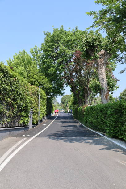 istock Early summer in Moniga del Garda on Lake Garda 1432512700