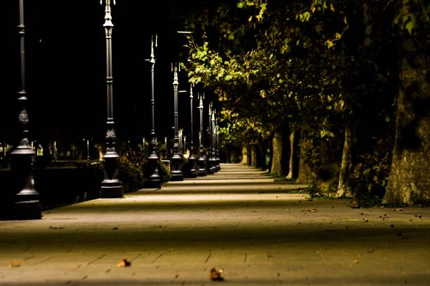 istock Sidewalk with street lamps during nighttime 1432513394