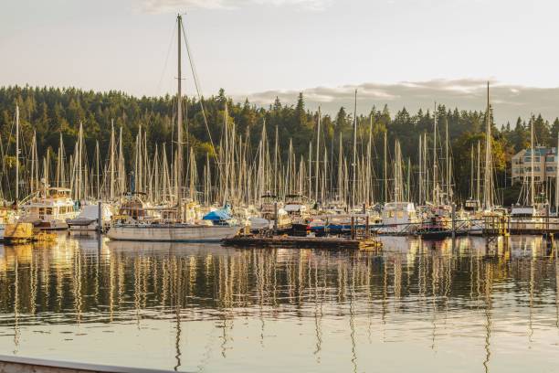istock Harbor with many small floating boats and identical masts on a forest background 1432514217