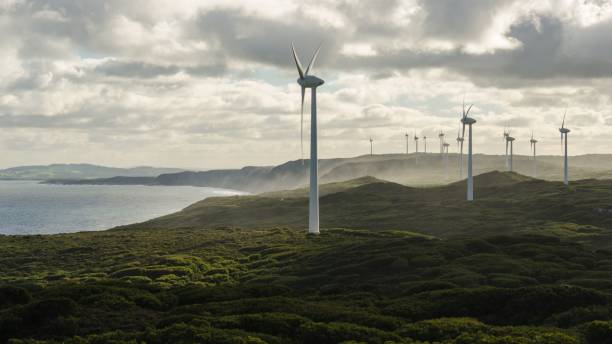 istock Wind farm in Albany, Western Australia 1432516448