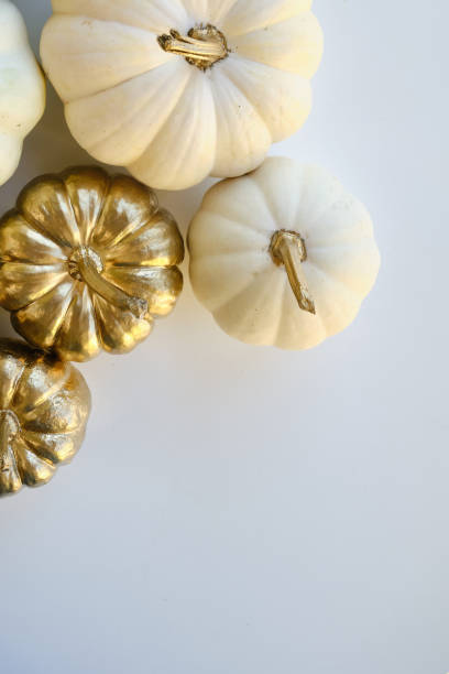 Modern composition in autumn style with white and golden pumpkins on a light background. Halloween, Thanksgiving party concept. Background for blog place for text. Empty space for text stock photo