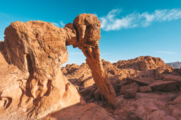 istock Elephant rock at Valley of Fire 1432520798