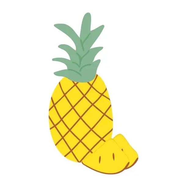 Vector illustration of Pineapple and its slices in doodle style. Hand drawing