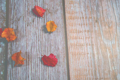 Low opacity Dry flower petal on wood background