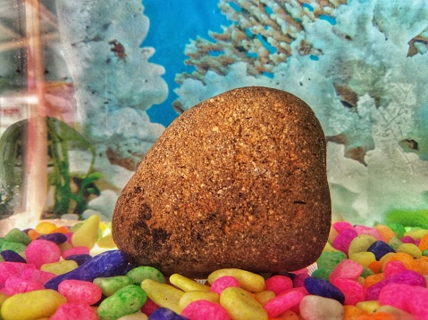 Stone rock in aquarium with colorful gravels