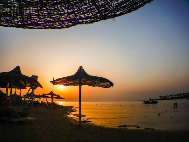 istock amazing sunset on the beach with sun umbrellas 1432533290