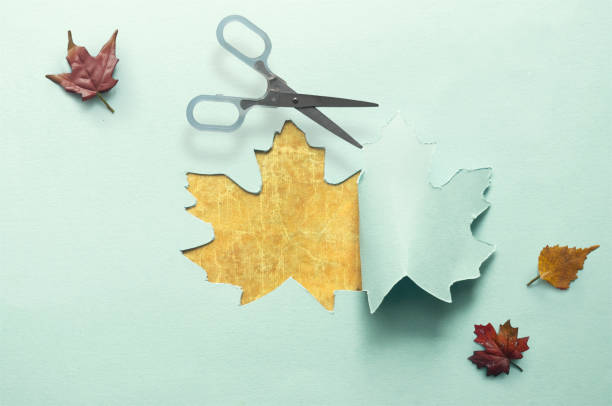 istock Autumn leaf paper reveal 1432534626
