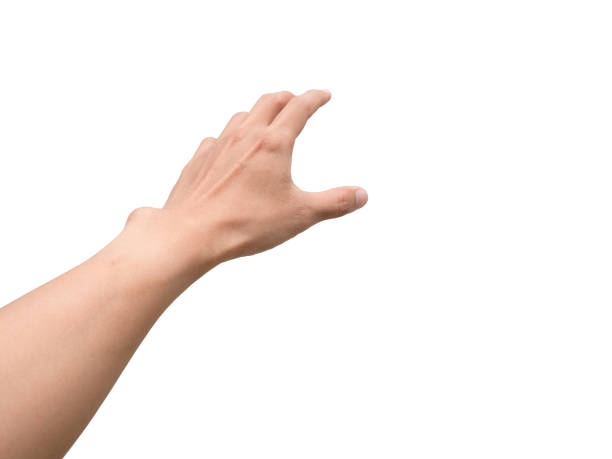 istock Man hands gesture reach isolated white 1432535109