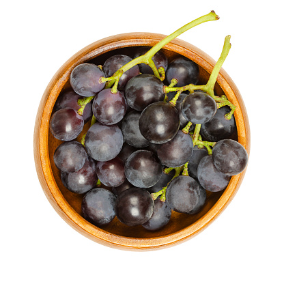 Common grape vines, in a wooden bowl. Freshly picked vines of ripe wild grapes, Vitis vinifera, with small dark purple grapes, showing a natural epicuticular pale wax bloom. Close up macro food photo.