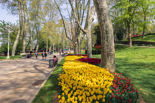 Gulhane Park in Istanbul. Public parks in Istanbul. Travel to Turkey background photo. Istanbul Turkey - 4.25.2022
