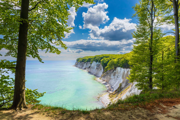 falaises de craie sur la côte de la mer baltique sur l’île de ruegen, allemagne - rugen island photos et images de collection