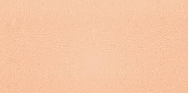 istock reptile snake leather imitation background 1432538853
