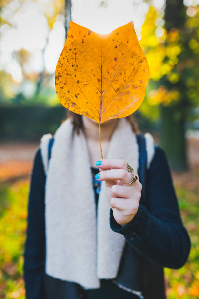 Free Stock Photo of A woman covering her face with a leaf | Download ...