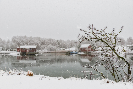 Snowing at the Swedish west coast. Idyllic red cottages in white winter landscape. Ice on the frozen sea. Gothenburg archipelago.