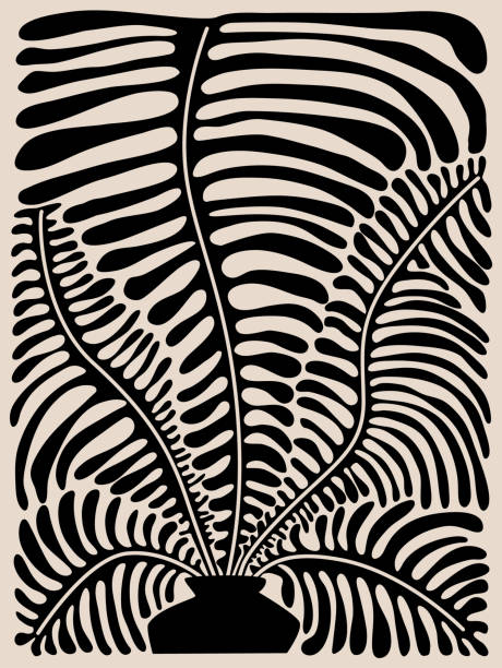 abstract houseplant  fern plant  art poster,  vector illustration graphic print