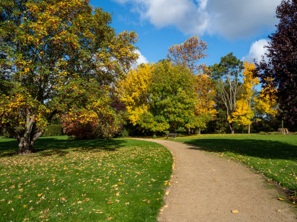 istock Beautiful colorful trees in the autumn park. 1432544625