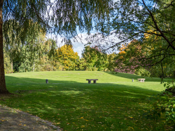 istock Beautiful colorful trees in the autumn park. 1432544644